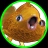 dighawaii